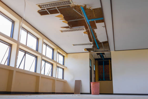Best Water damage restoration specialists  in Camanche, IA