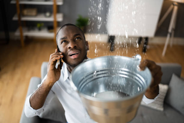 Best Sewage cleanup and water damage restoration  in Camanche, IA