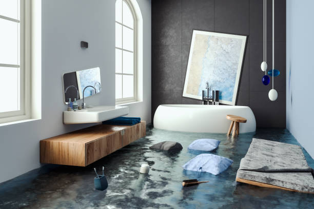 Best Carpet water damage restoration  in Camanche, IA
