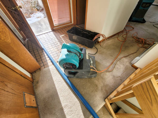 Best Water damage cleanup near me  in Camanche, IA
