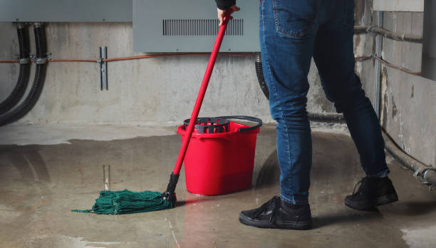 Best Basement water damage restoration  in Camanche, IA