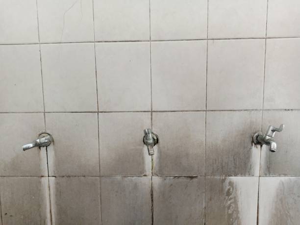 Best Water damage contractors near me  in Camanche, IA