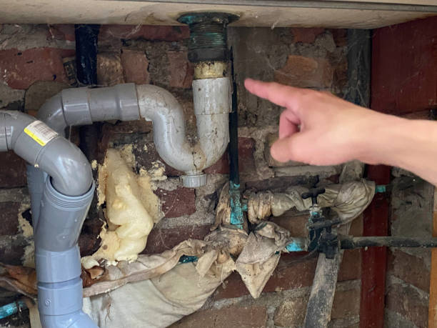 Best Flood restoration services  in Camanche, IA