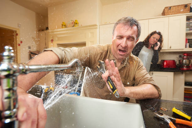 Best Local water damage restoration  in Camanche, IA